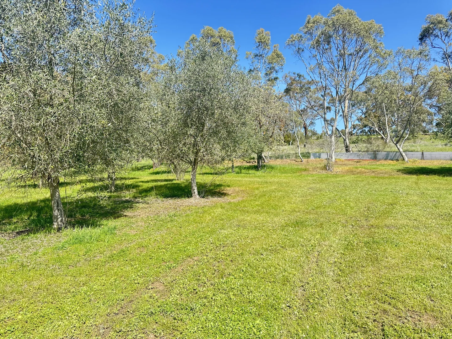 Additional image 30 of 7791 Horrocks Hwy, Penwortham SA 5453