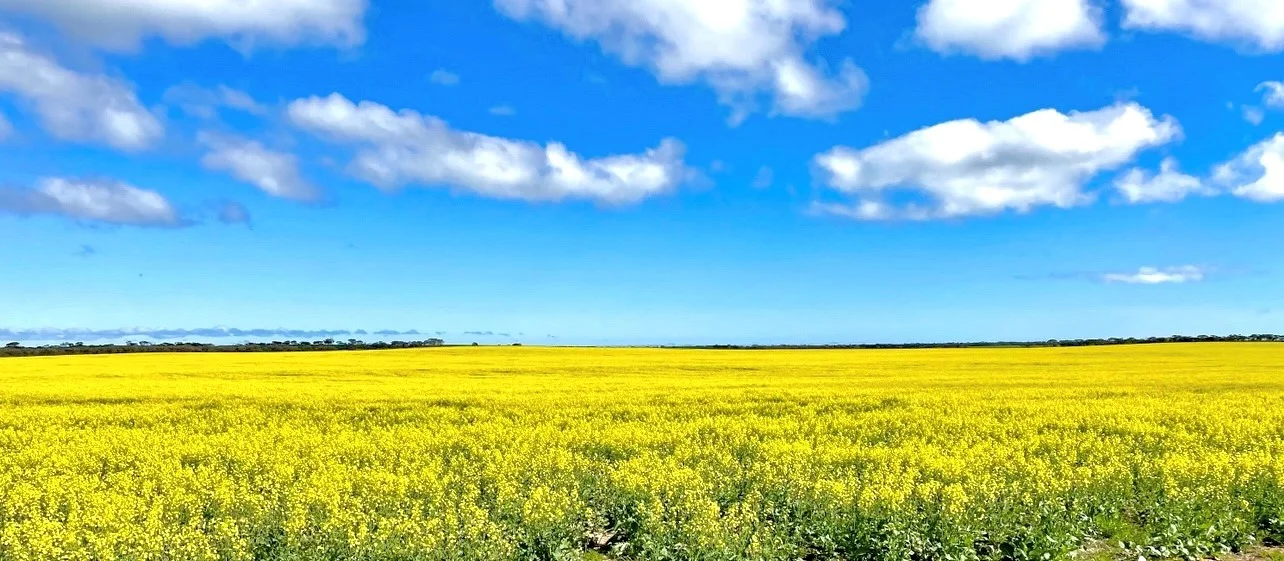 Additional image 4 of 1830 Finlayson Road, Petina SA 5680