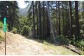 14965 Virginia Ave, Boulder Creek, CA, 95006 photo 3