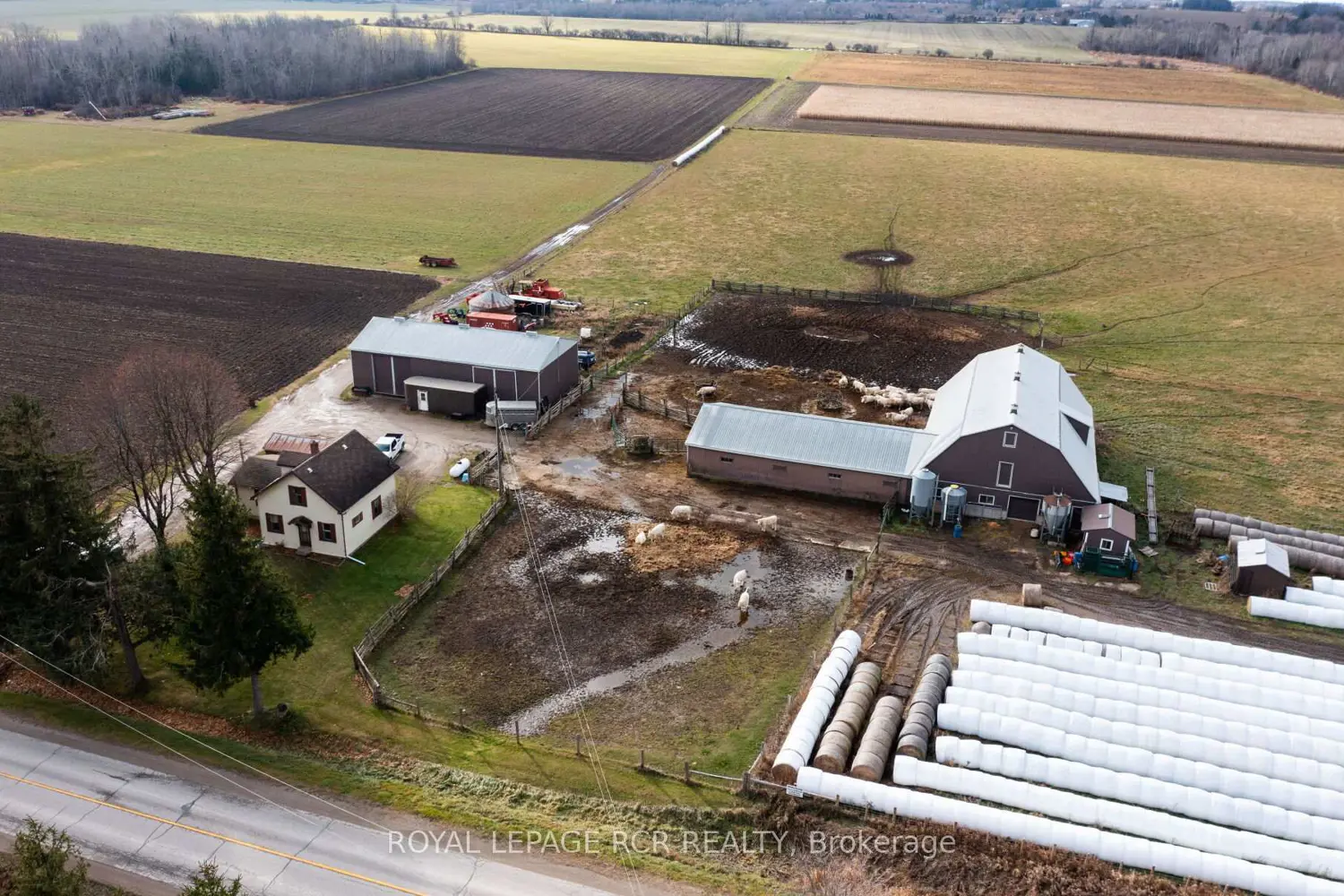 Additional image 4 of 553456 Mono Amaranth Townline