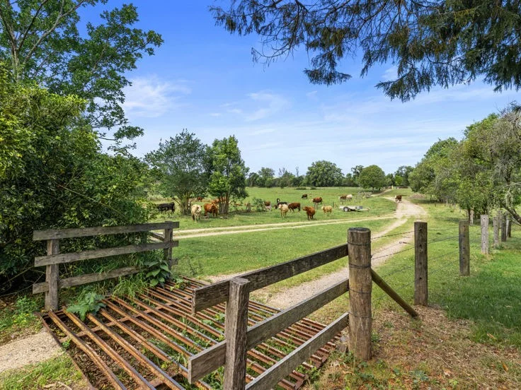 Additional image 17 of 198-220 Tyalgum Road, Murwillumbah NSW 2484