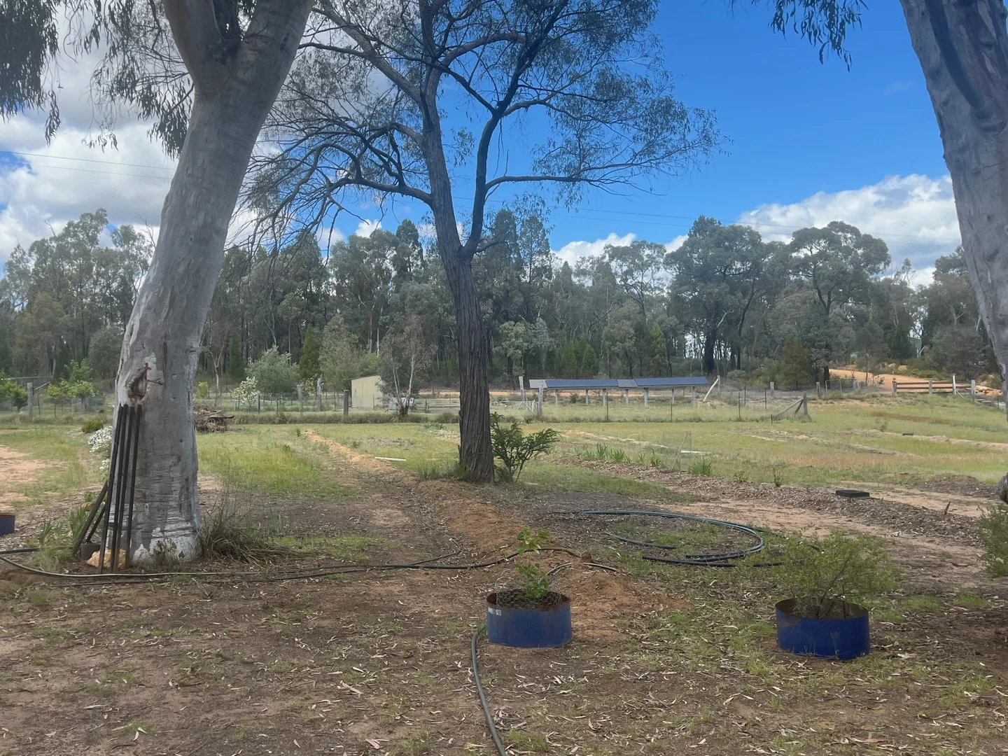 Additional image 24 of 4655 Baradine Road, Coonabarabran NSW 2357