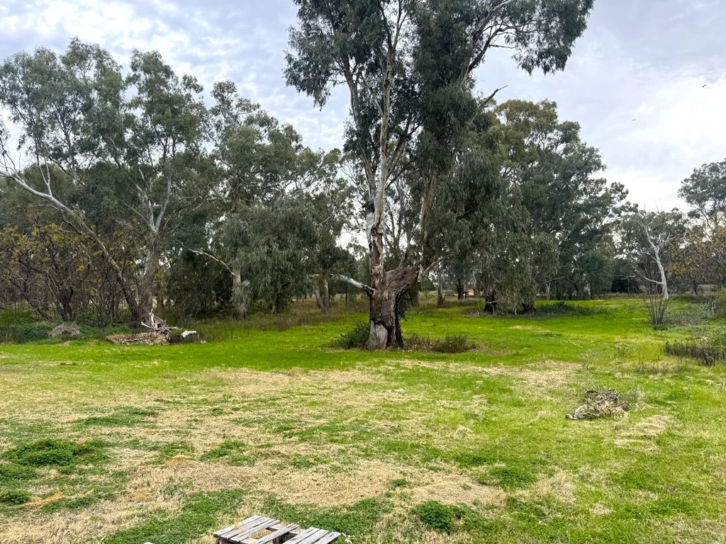 200 Lower Miller Street, Gilgandra NSW 2827