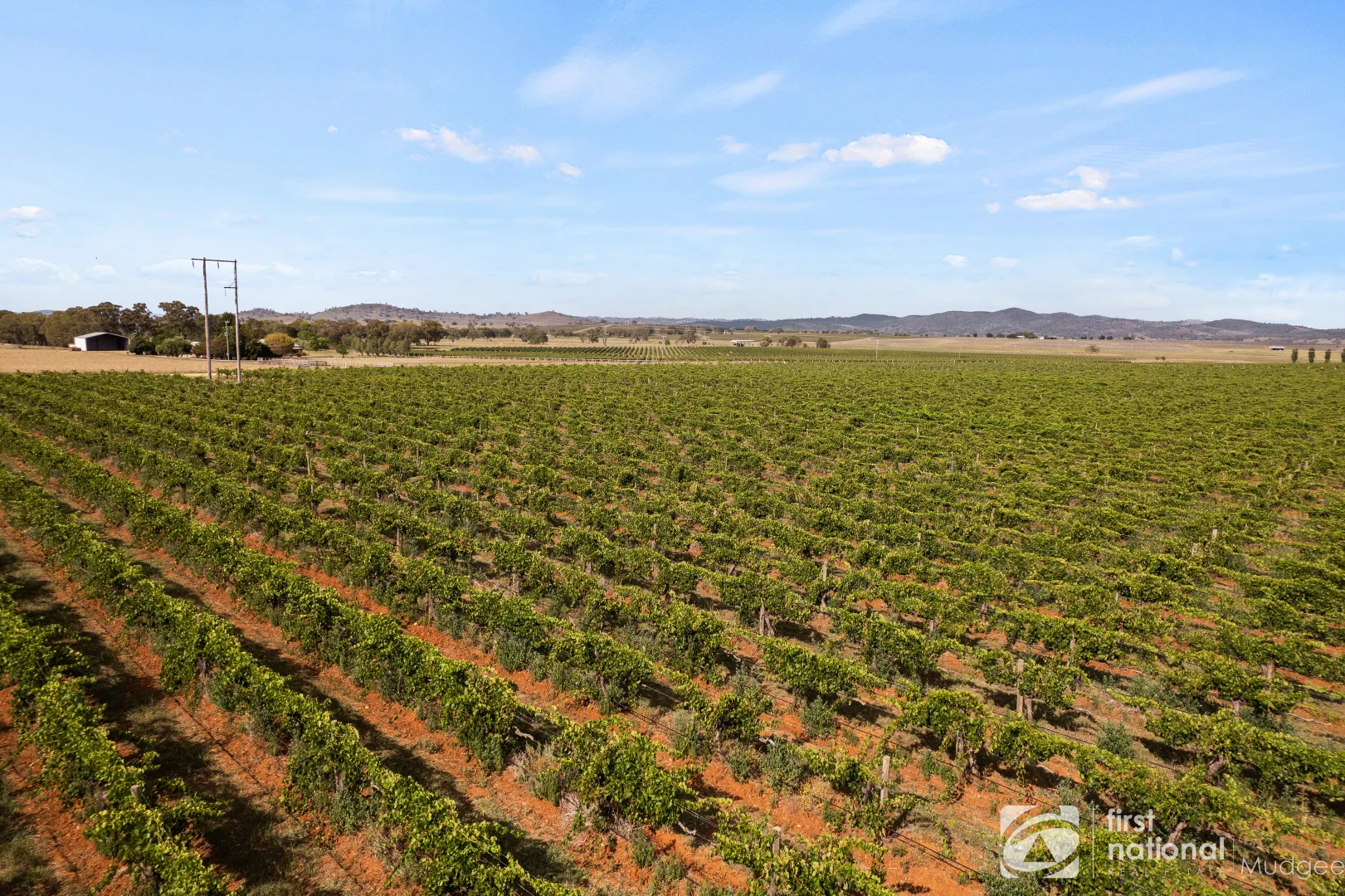 Additional image 9 of 70 Shiraz Drive, Gulgong NSW 2852