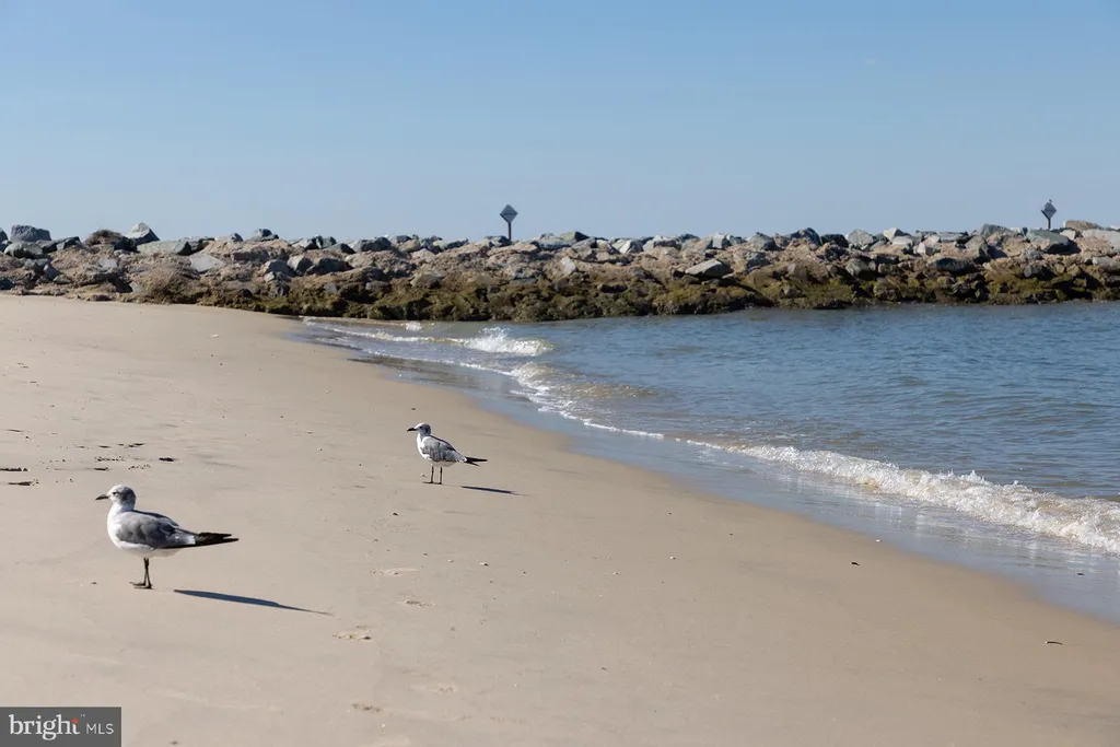 Additional image 70 of 21379 N Acorn Way, Lewes, DE 19958