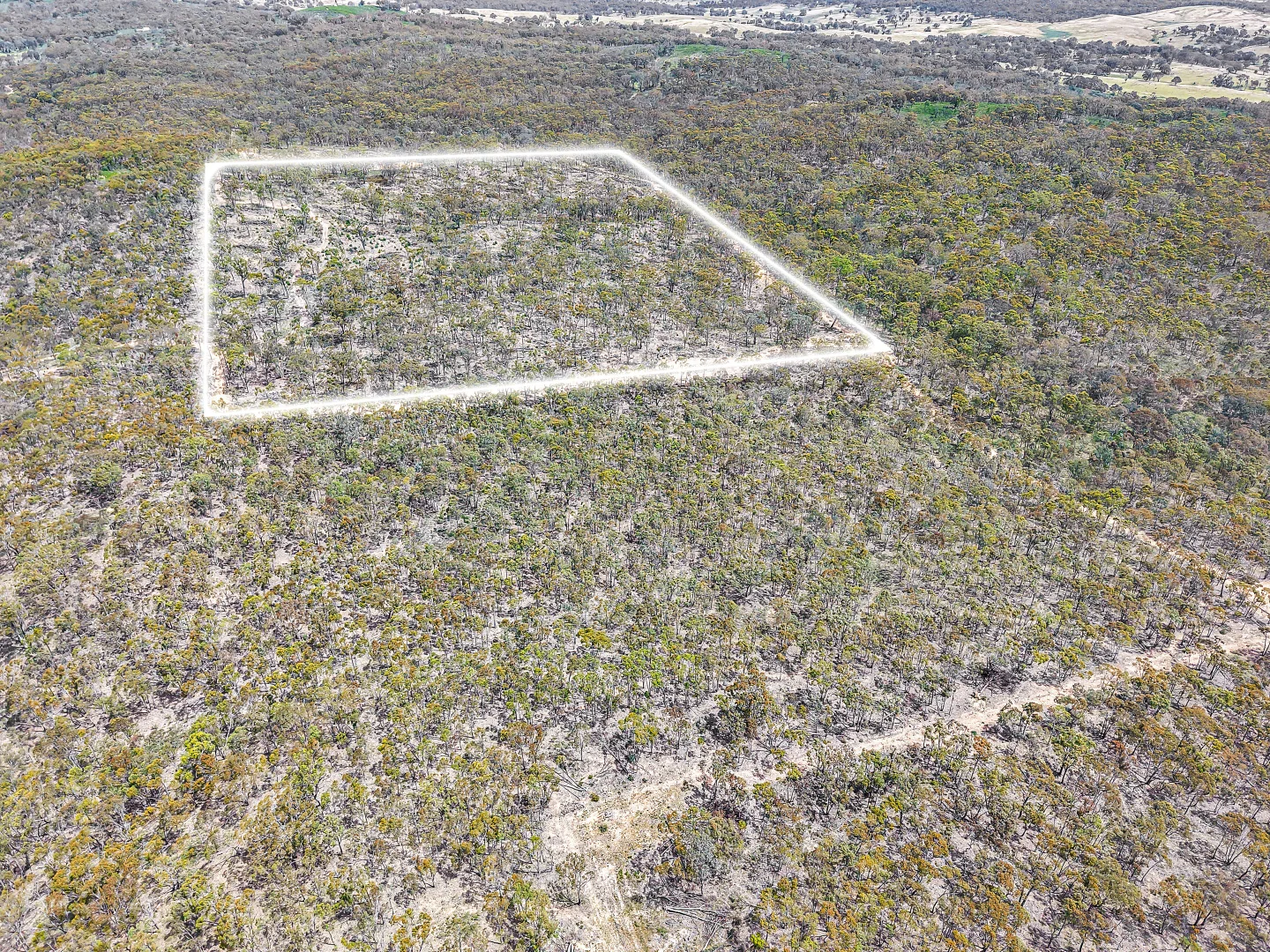 Additional image 3 of 157 Blakney Creek North Road, Bevendale NSW 2581