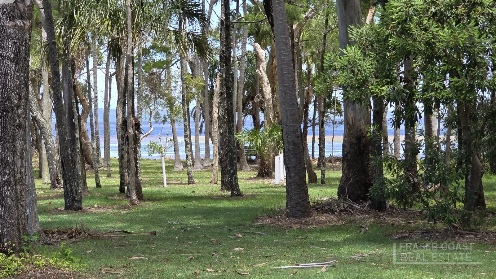 Additional image 7 of 103 Boronia Drive, Poona QLD 4650