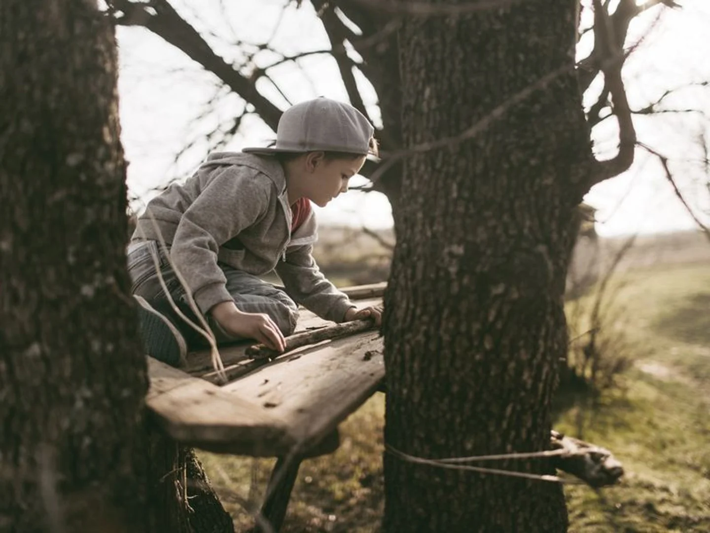 Additional image 27 of Lot 50 Borlaug Circuit, Baldivis WA 6171