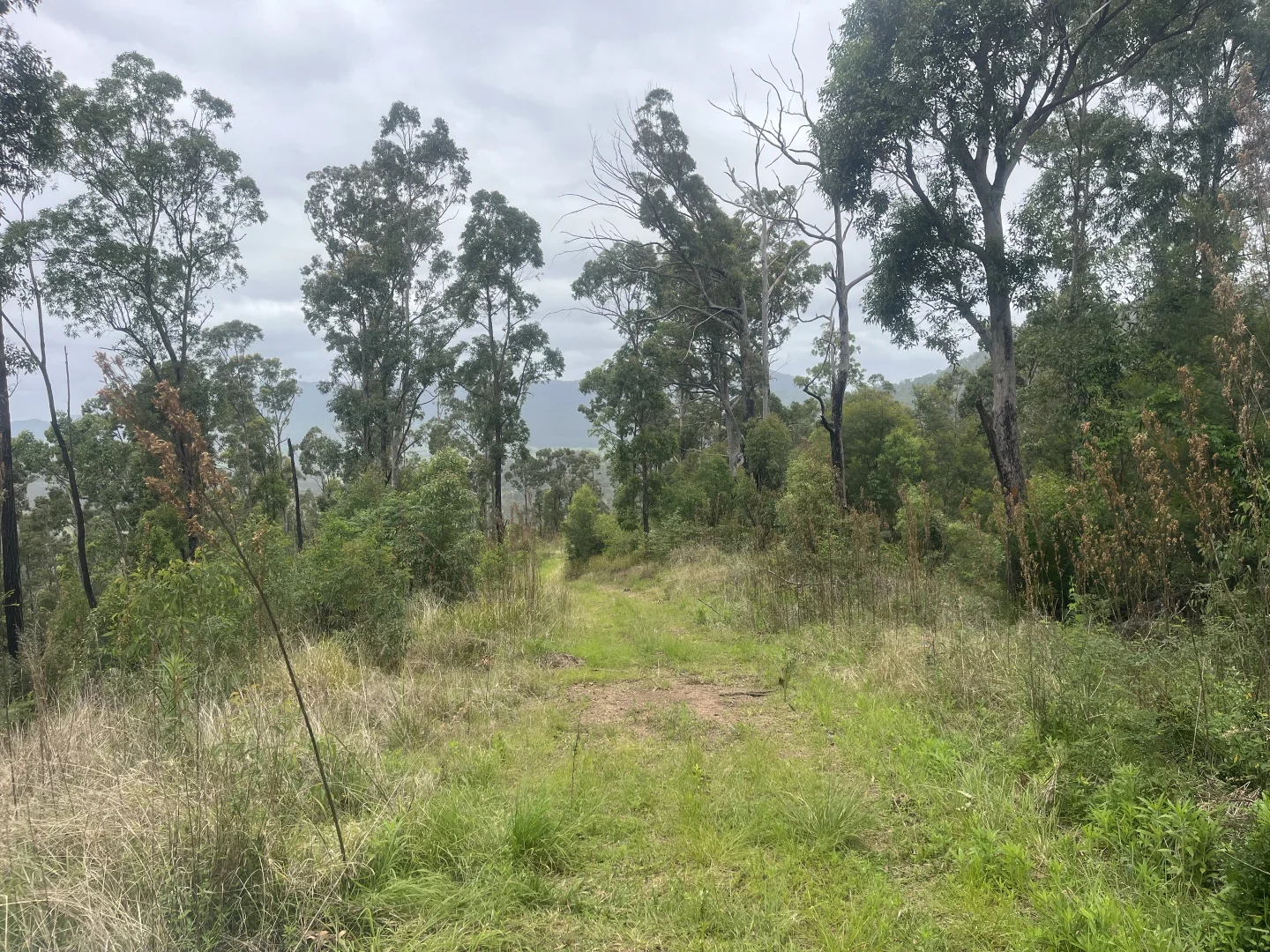 Additional image 13 of 173 Knodingbul Forest Road, Mount George NSW 2424