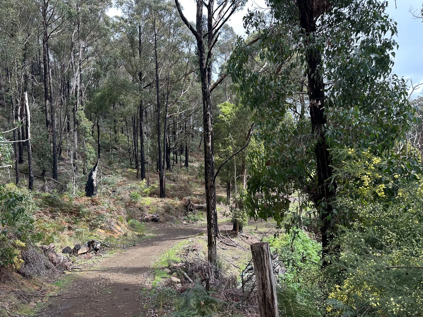 Additional image 8 of 1 Sunny Hills Road, Glen Huon TAS 7109
