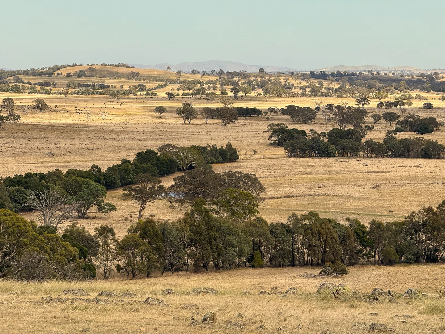 Additional image 21 of 1690 Cooks Hill Road, Yass NSW 2582