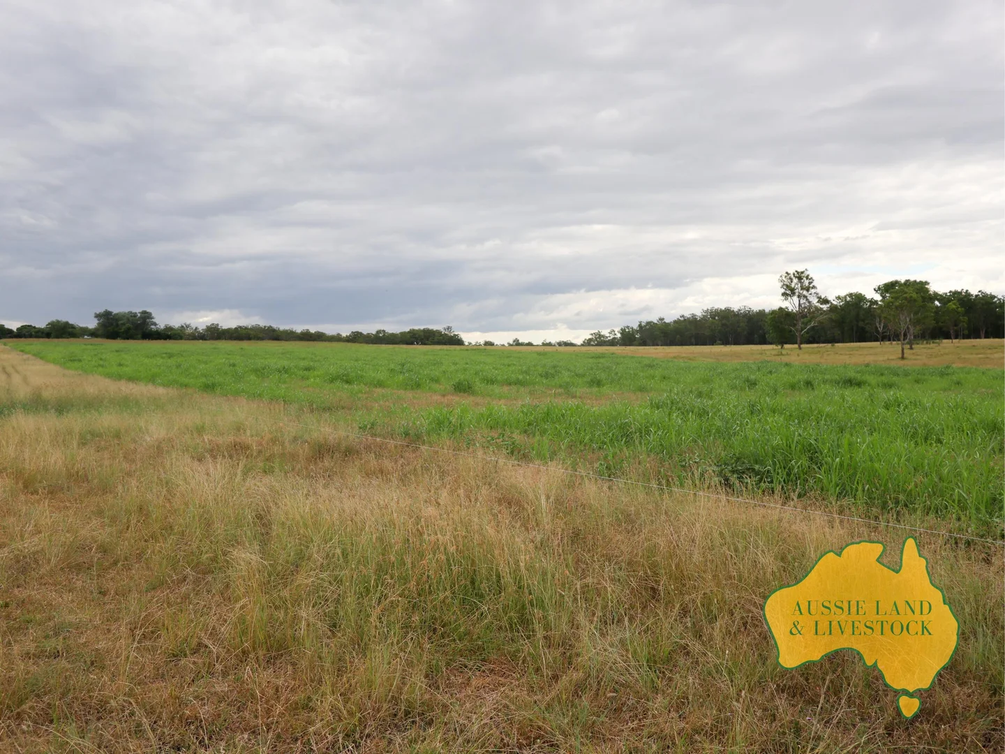 Additional image 77 of 629 Stuart Valley Drive, Haly Creek QLD 4610