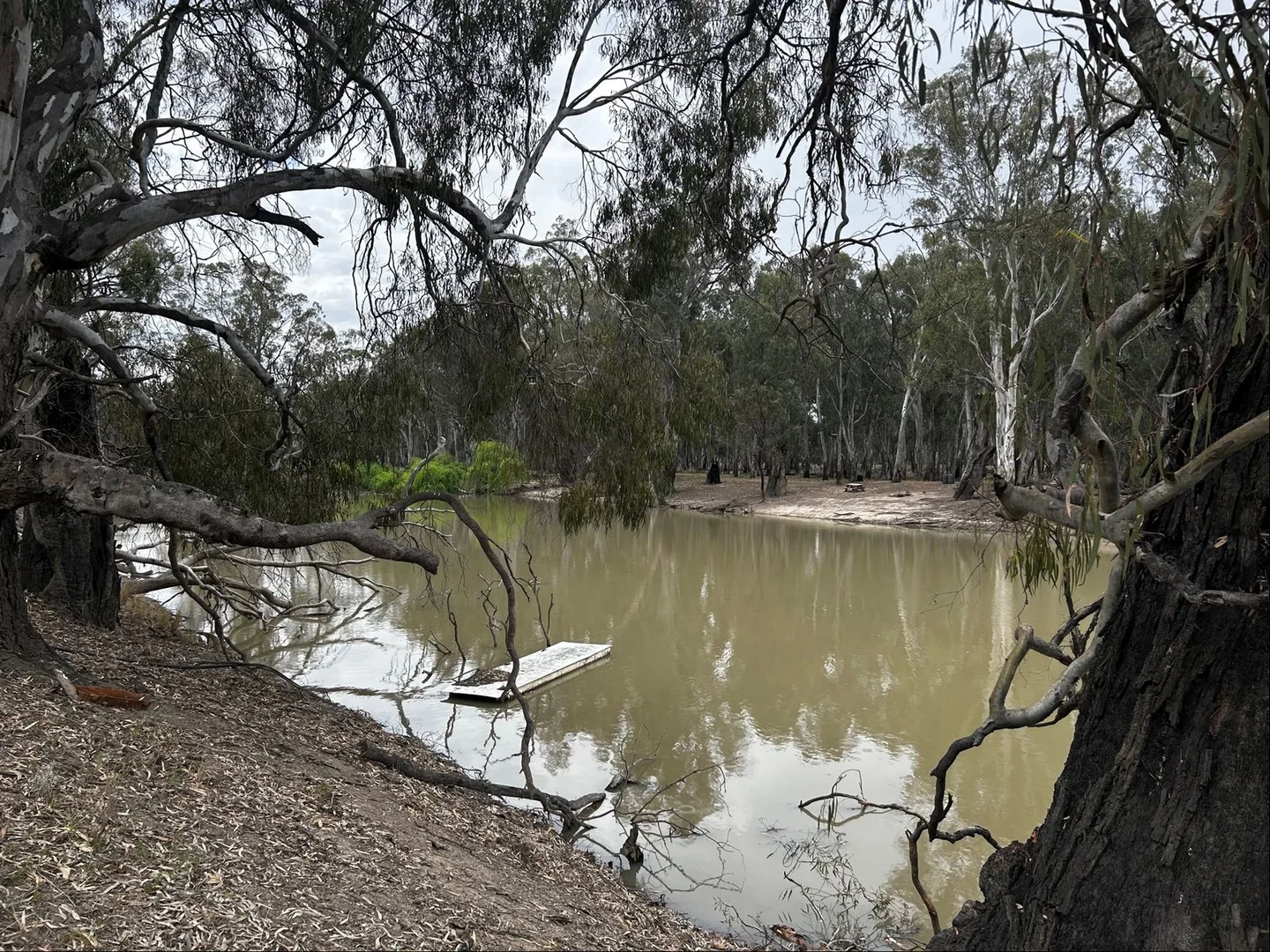 Additional image 5 of 190 Swan Hill Road, Moulamein NSW 2733