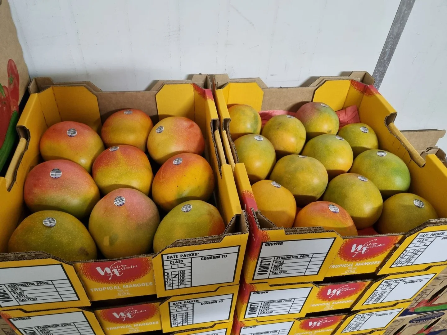 Additional image 7 of 137 North River Road, North Plantations WA 6701