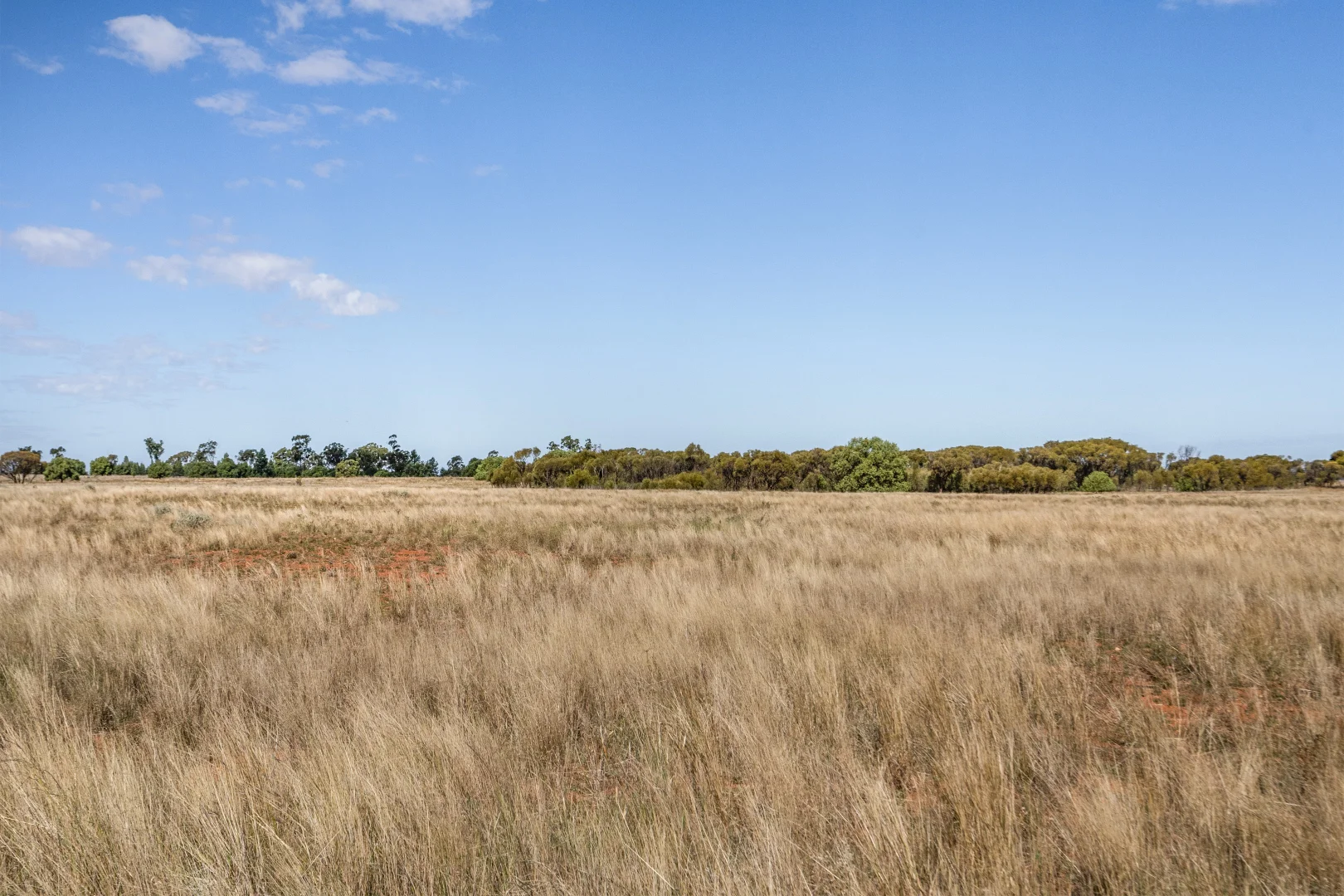 Additional image 26 of 4229 Bobadah Road, Bobadah NSW 2877