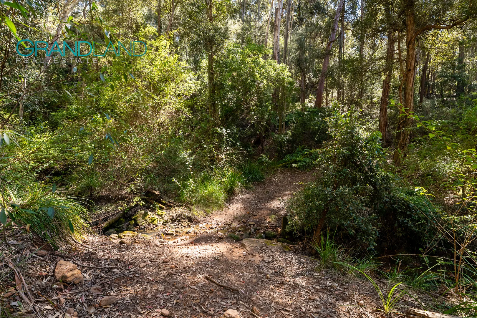 Additional image 12 of 123 News Road, Werombi NSW 2570