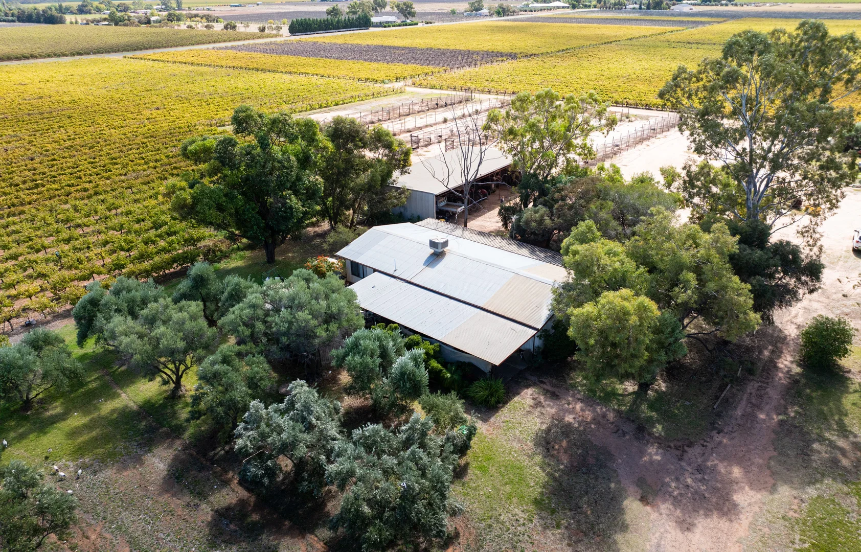 Additional image 16 of 190 Dow Avenue, Irymple VIC 3498