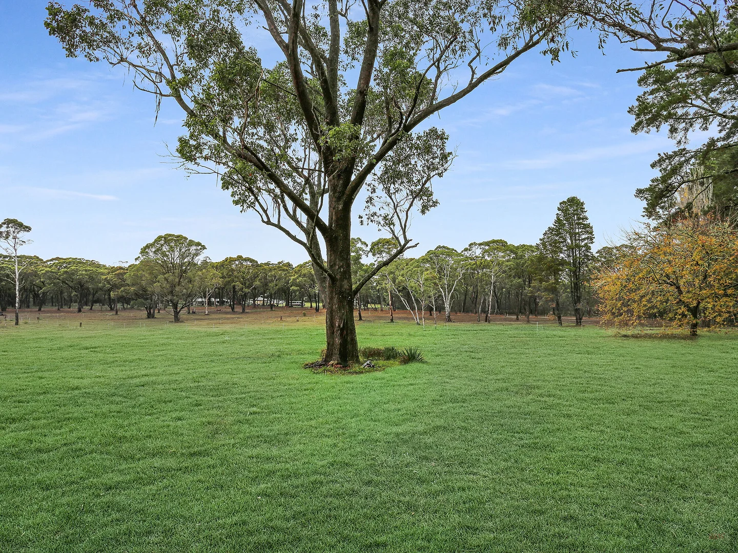 Additional image 10 of 1 - 8 Wildwood/Nandi/Wattlebird, Wingello NSW 2579