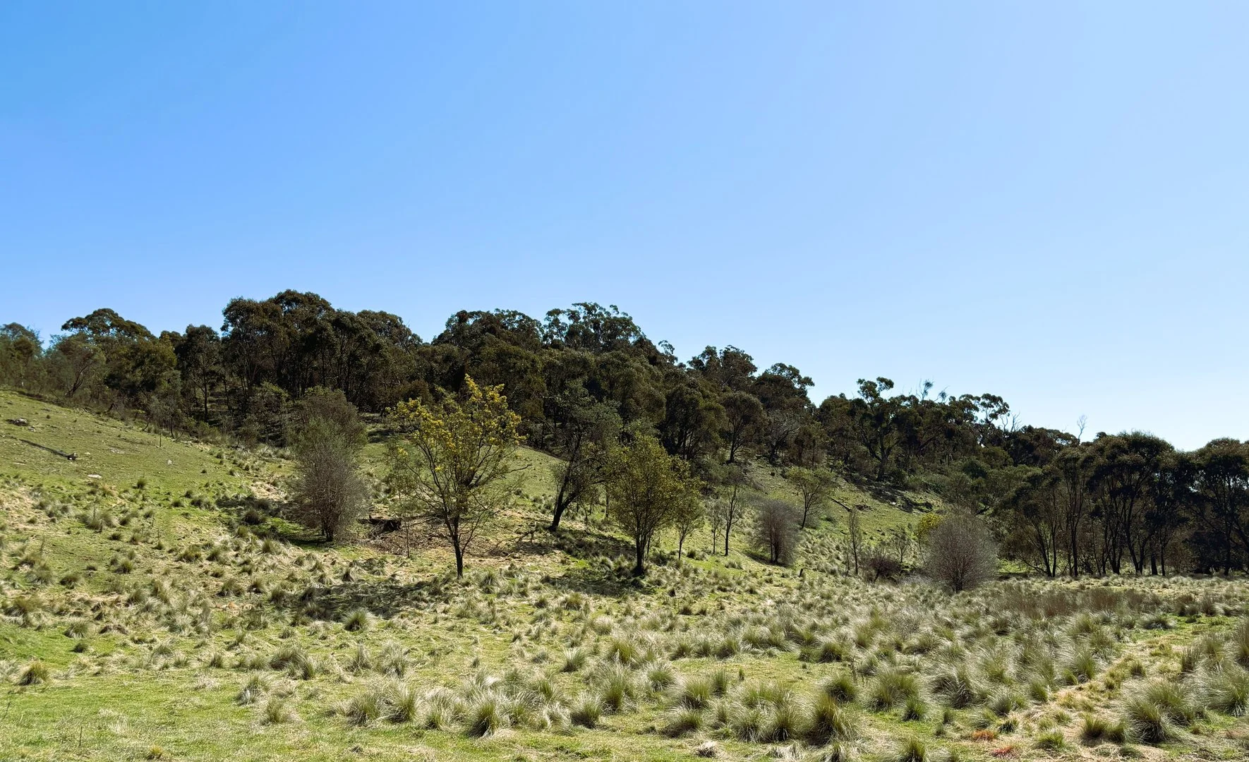 Additional image 15 of 22 Top Flat Lane, Wamboin NSW 2620