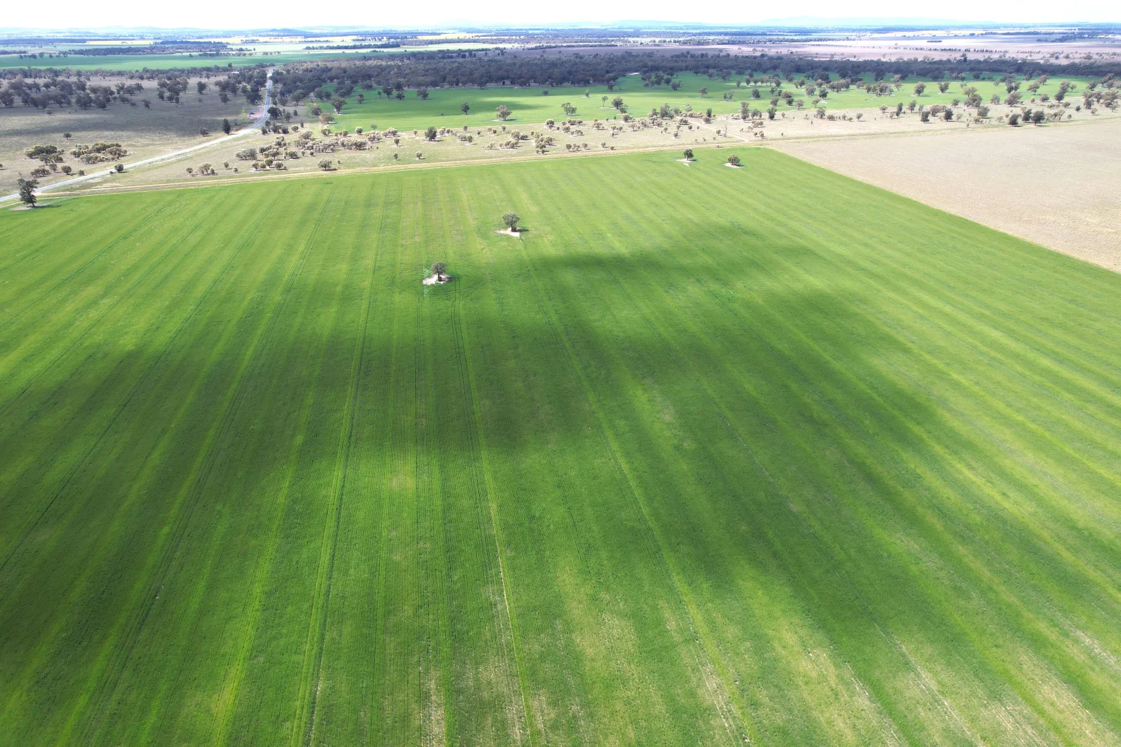 Additional image 9 of 6689 Mid Western Highway, Caragabal NSW 2810