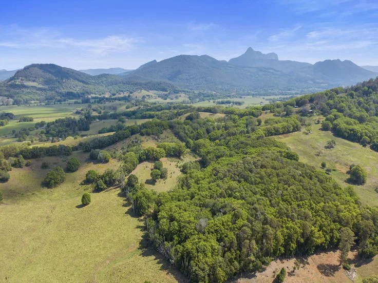 Additional image 8 of 198-220 Tyalgum Road, Murwillumbah NSW 2484