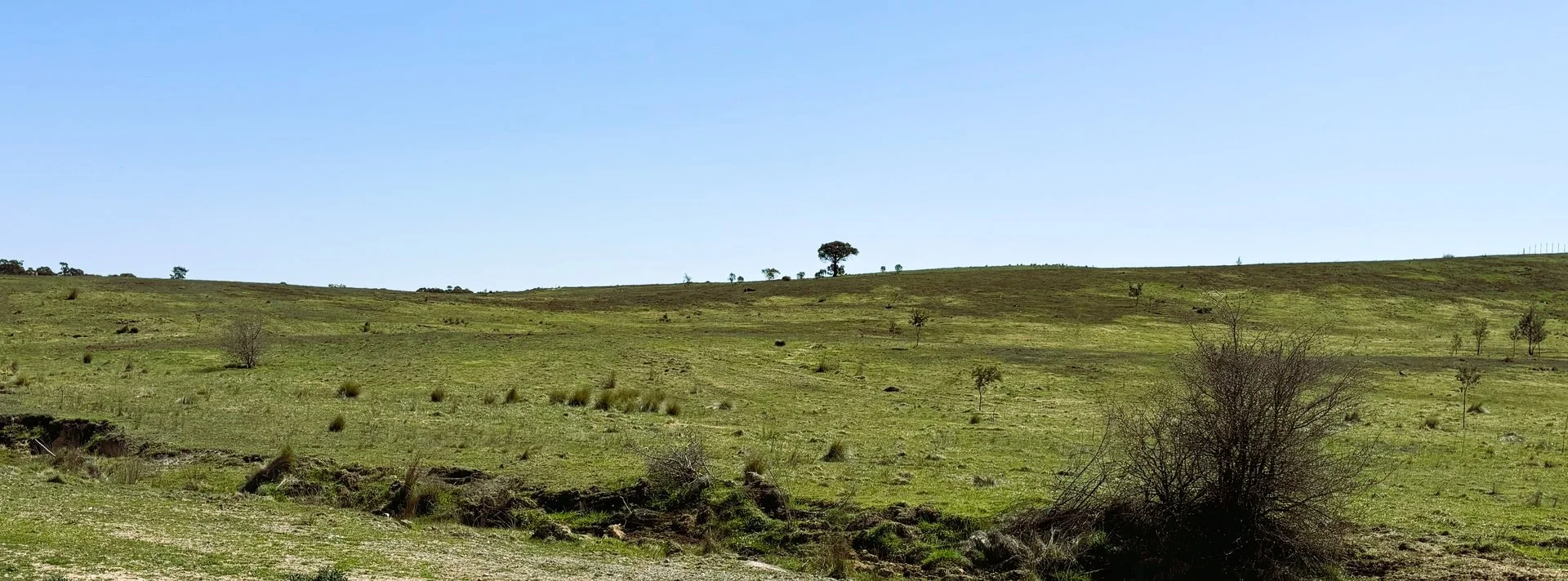 529 Wirreanda Road, Wamboin NSW 2620