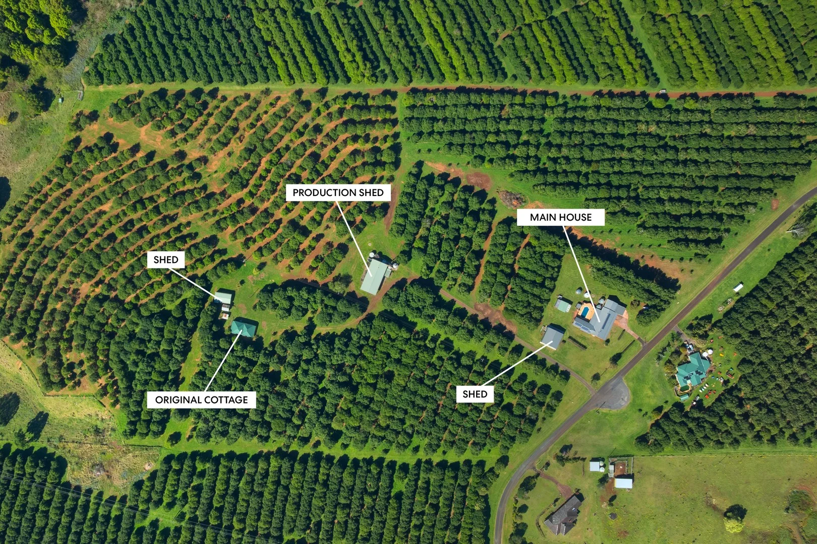 Additional image 15 of 68 Connor Road, Tregeagle NSW 2480