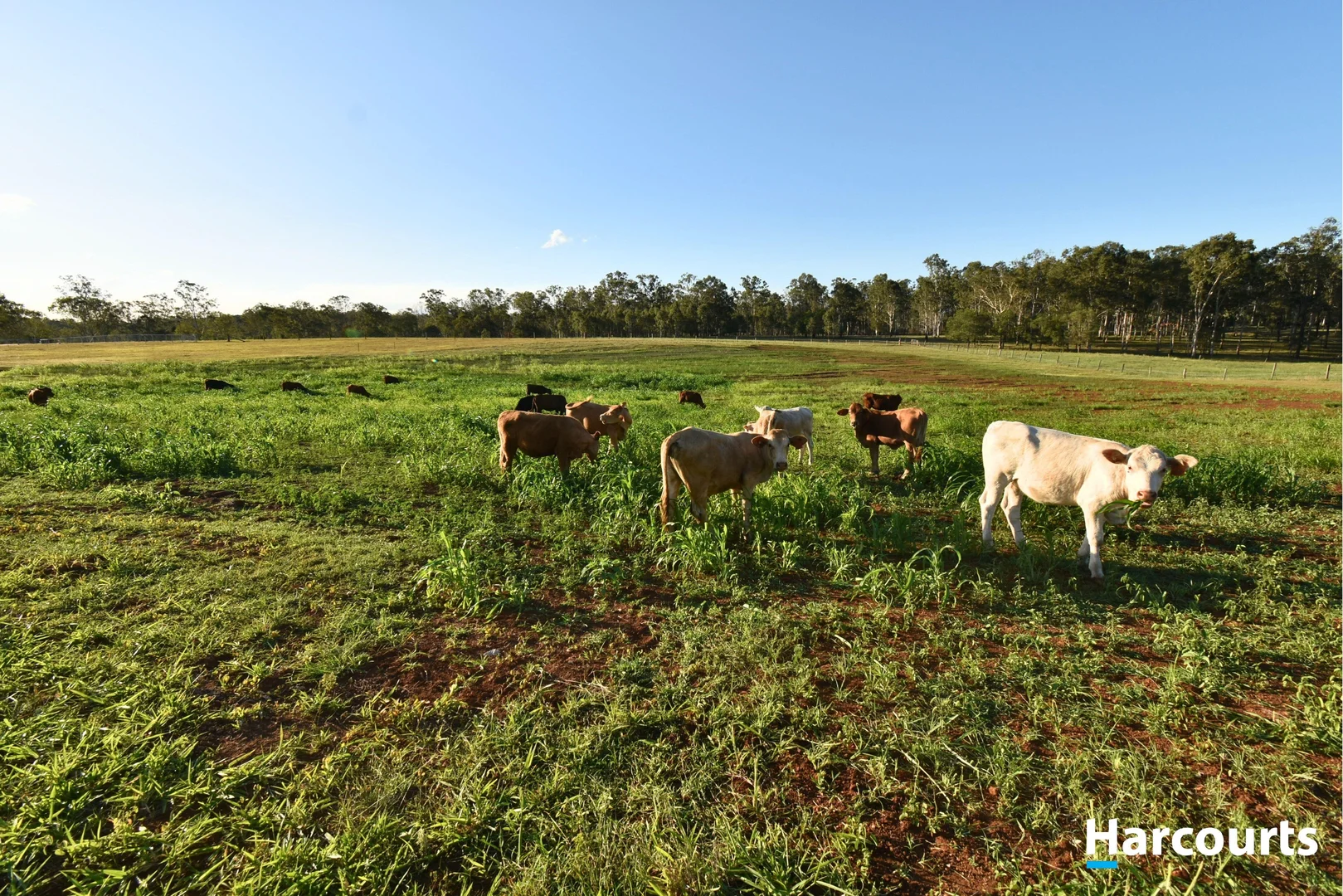 Additional image 19 of 69 Hofstetter Road, Morganville QLD 4671