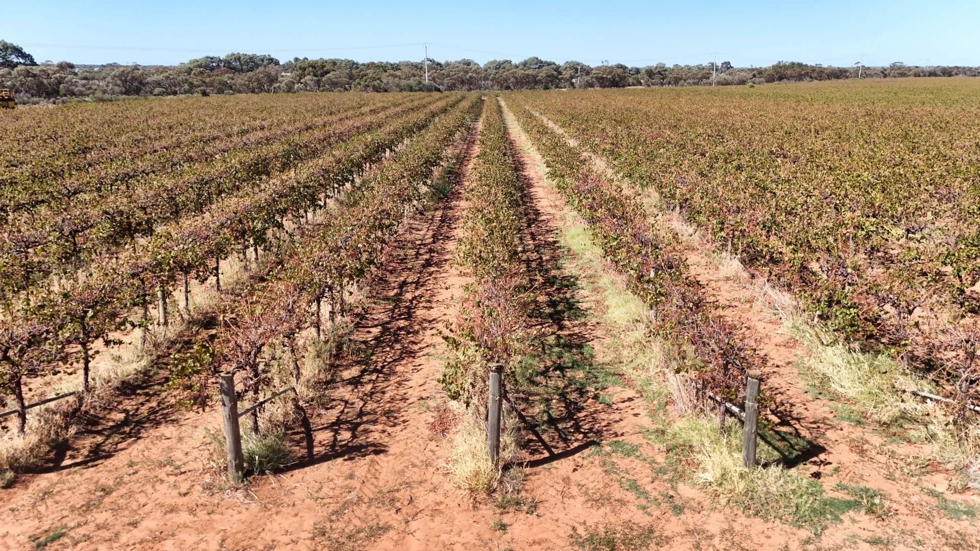 Additional image 33 of 595 Woorinen Road, Swan Hill VIC 3585