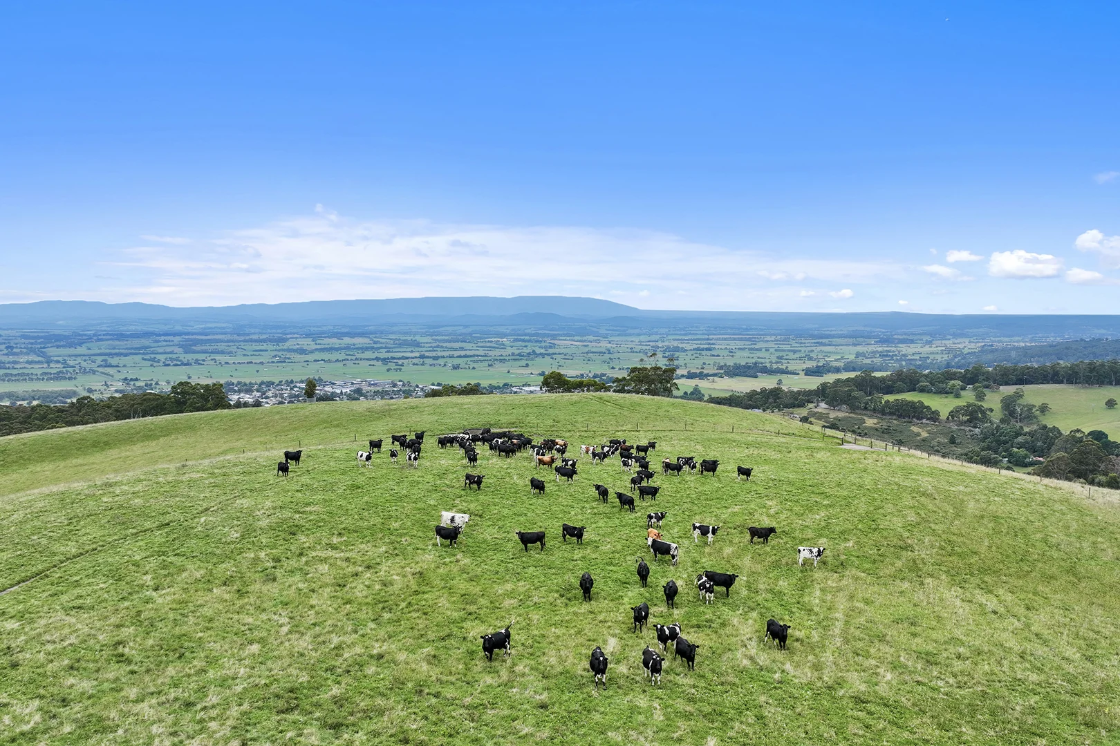 Additional image 22 of 244 Mirboo North-Trafalgar Road, Trafalgar South VIC 3824