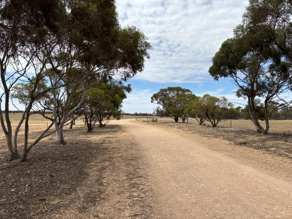 Additional image 22 of 9723 Tod Highway, Lock SA 5633