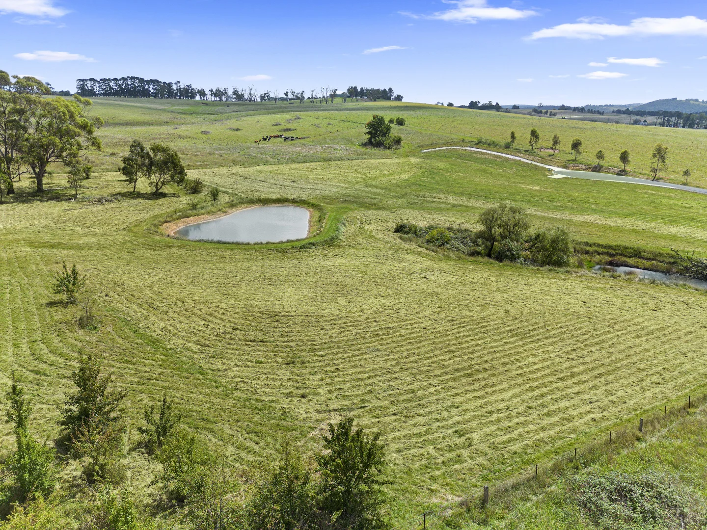 Additional image 3 of 15 Braddon Road, Moss Vale NSW 2577