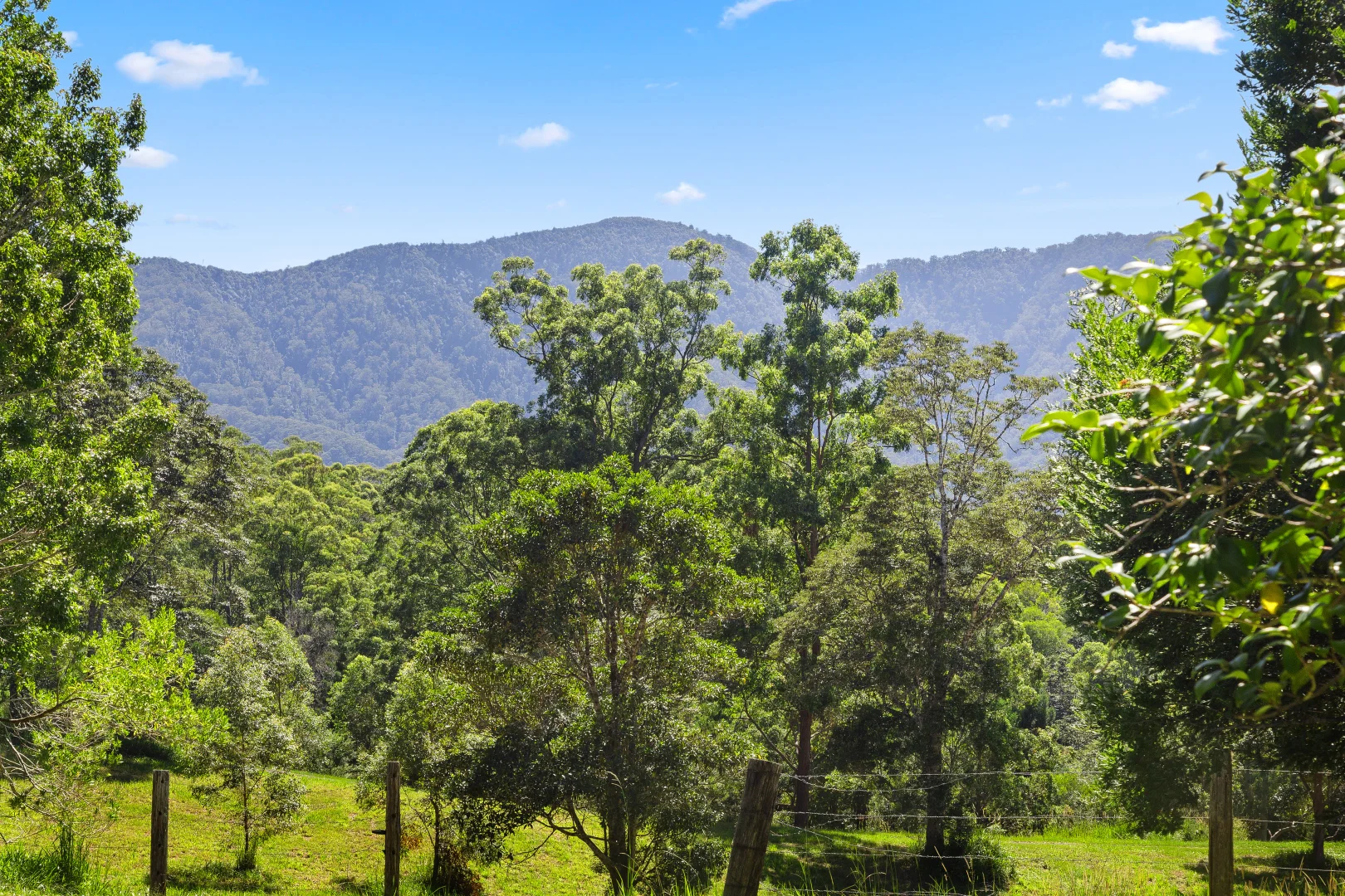 Additional image 36 of 930 promised land Road, Bellingen NSW 2454