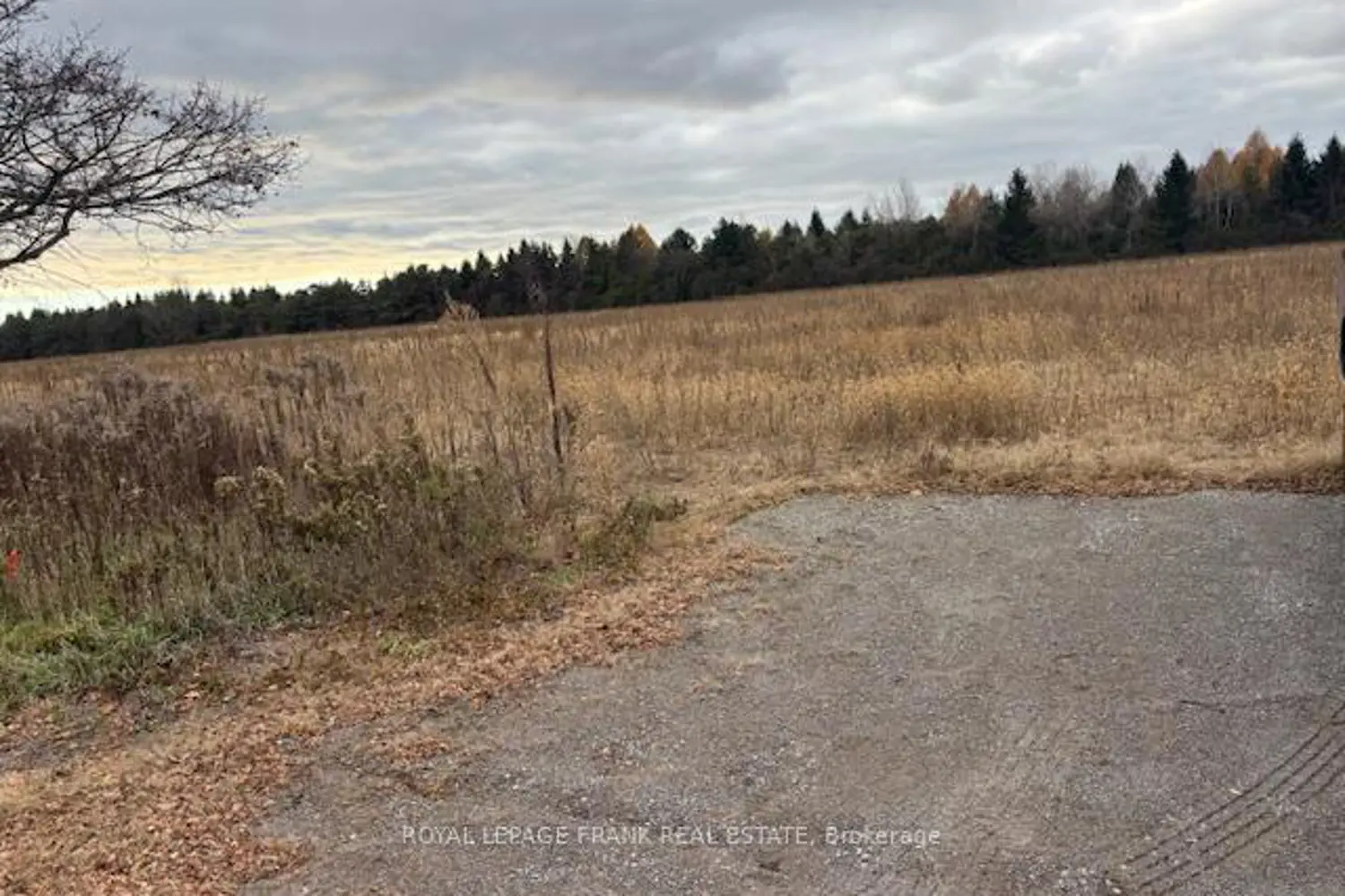Additional image 4 of 2748 Golf Course Road