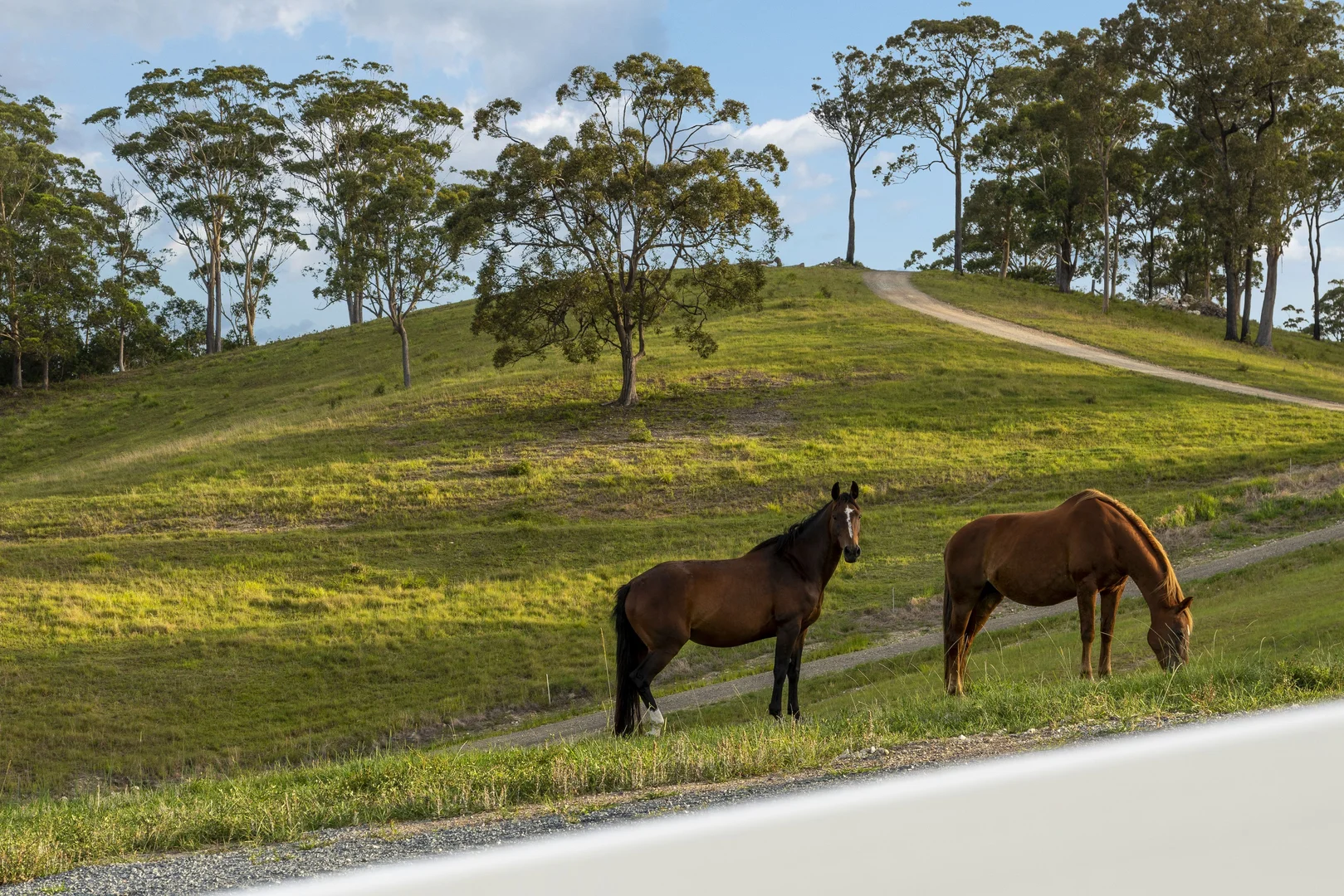 Additional image 2 of 1-9/11 Tanglewood Drive, Tanglewood NSW 2488