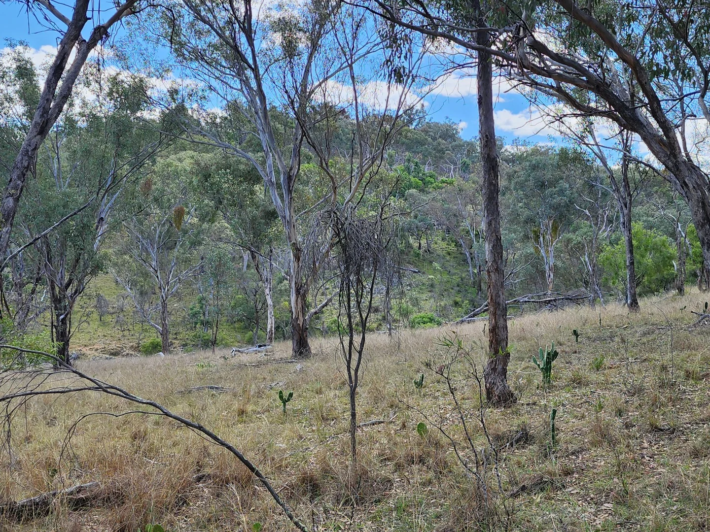 Additional image 5 of Lot 2 Stanthorpe Texas Road, Stanthorpe QLD 4380