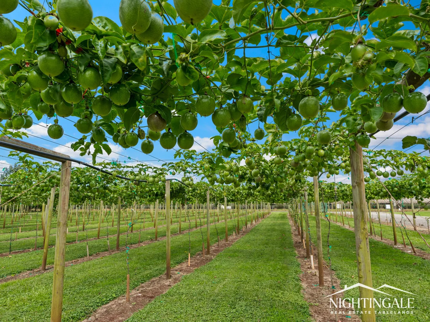 Additional image 3 of 119 Beantree Road, Tolga QLD 4882