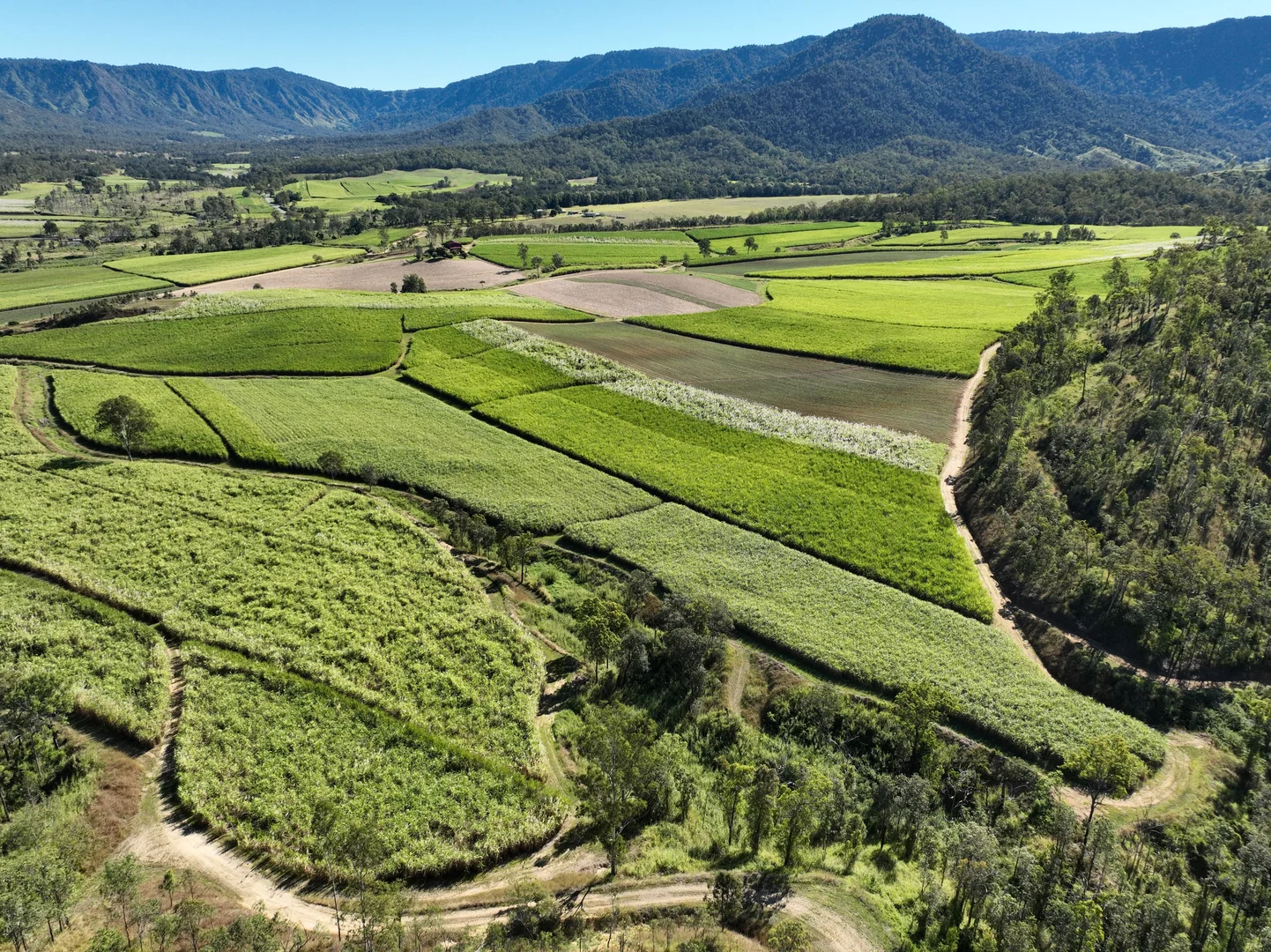 Additional image 15 of Finch Hatton QLD 4756