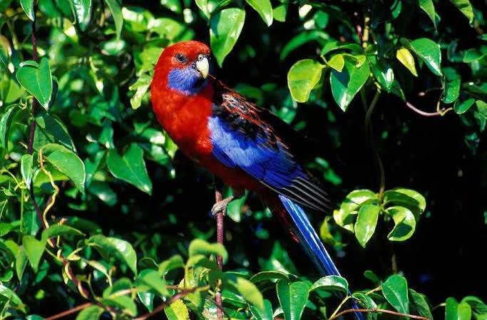 Additional image 3 of Lawnton QLD 4501