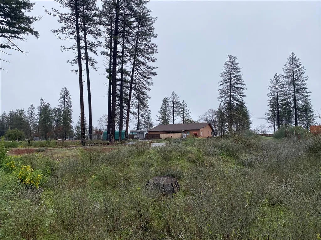 Additional image 35 of 8941 Skyway, Paradise, CA 95969