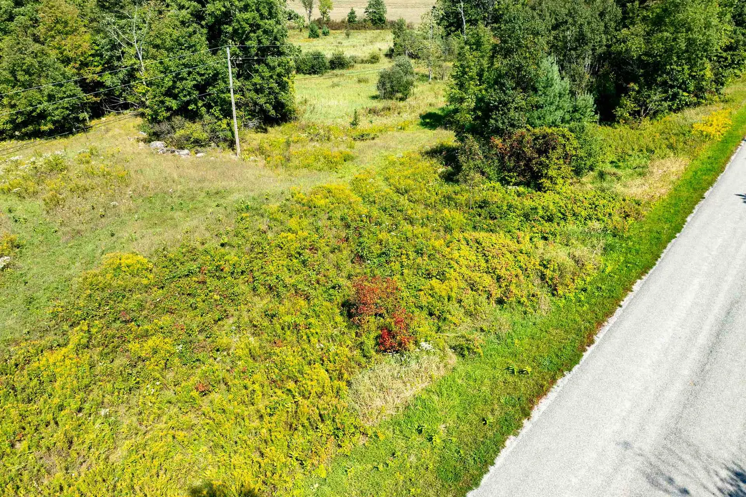 Additional image 11 of 268 Crozier Road