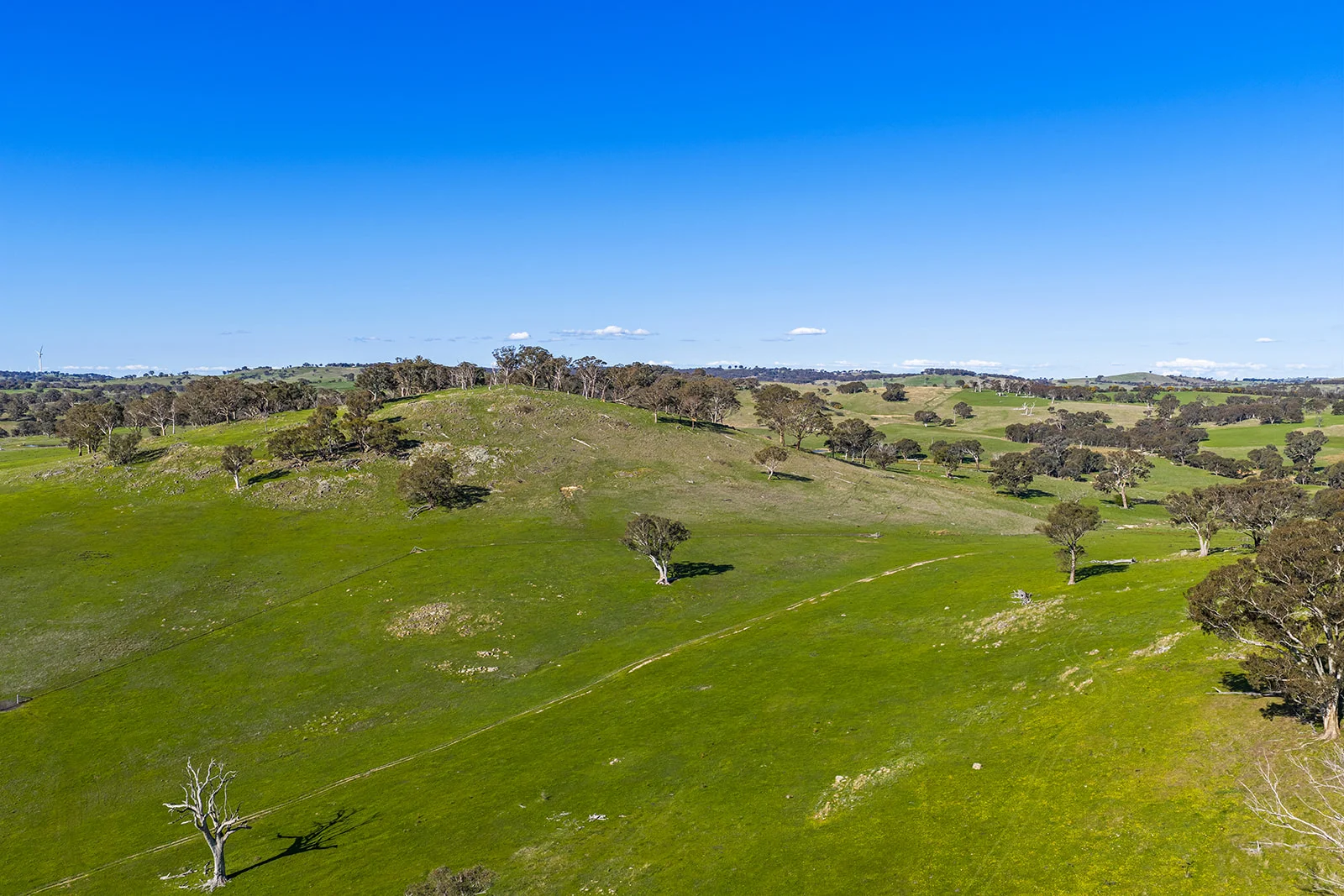 Additional image 16 of 1432 Lachlan Valley Way, Laverstock NSW 2582