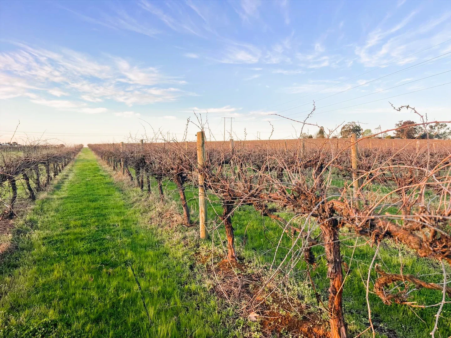 Additional image 7 of 106 Anderson Lane, Cowra NSW 2794