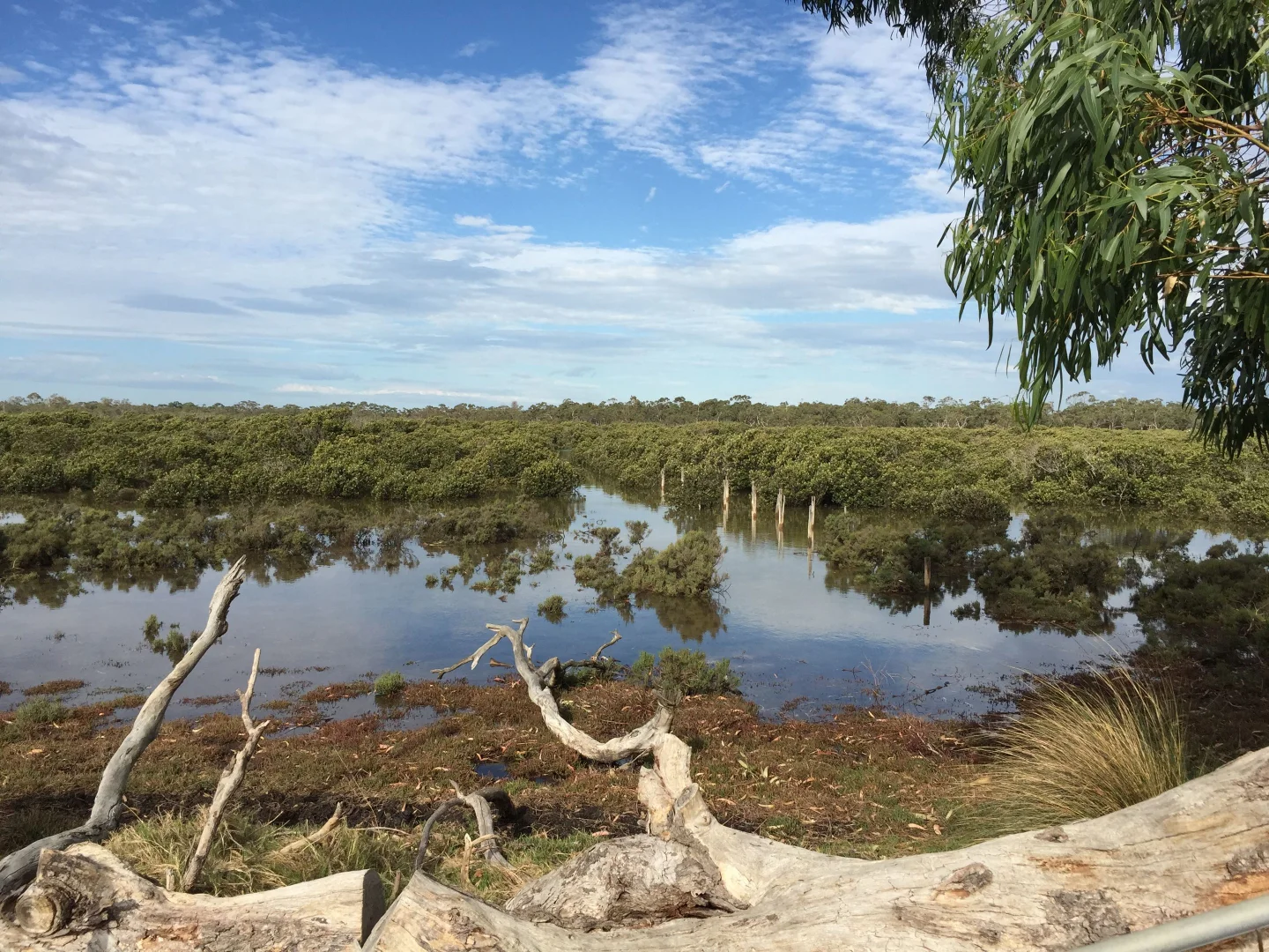 Additional image 27 of 111 CRAIGS LANE, Pearcedale VIC 3912