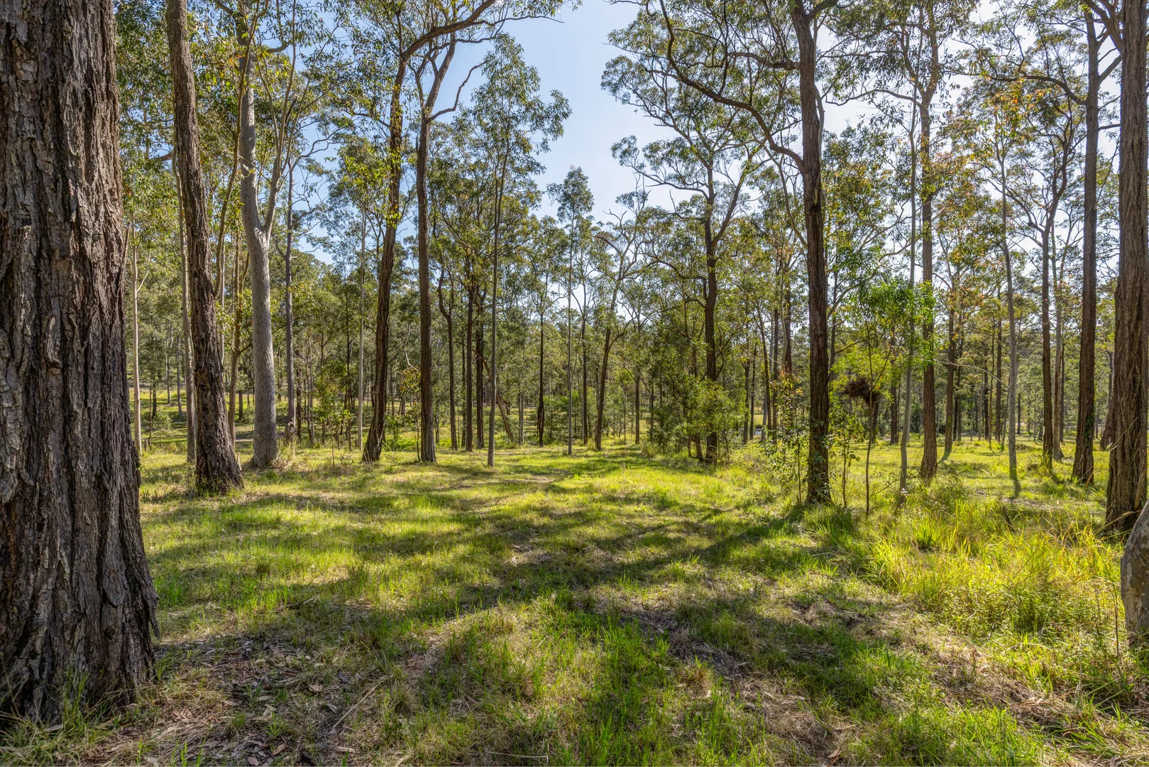 Additional image 10 of 35 Grandview Close, Clarence Town NSW 2321