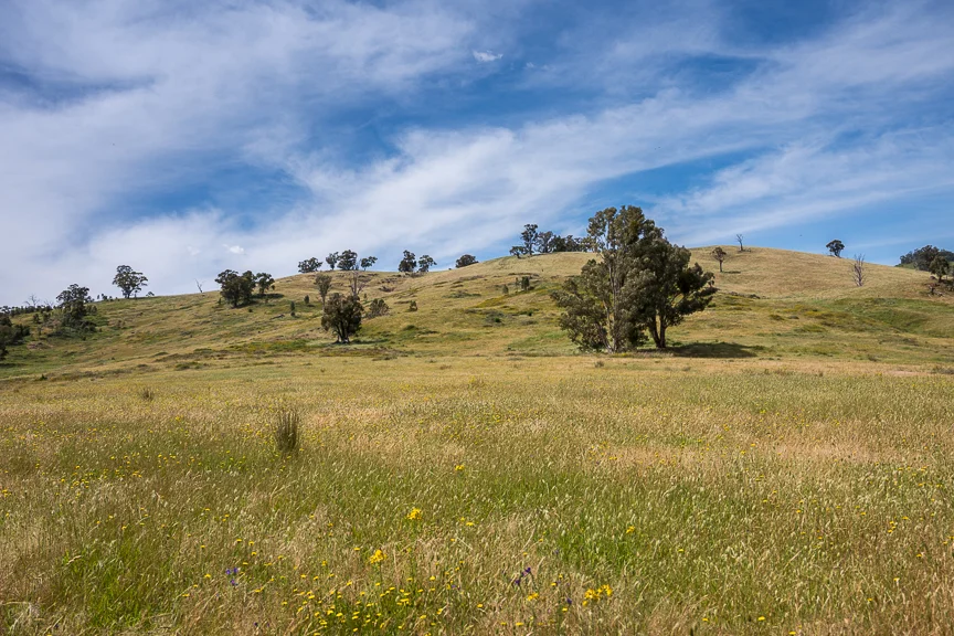 Additional image 11 of Lots 4 & 8 Tatong-Tolmie Rd, Tatong VIC 3673