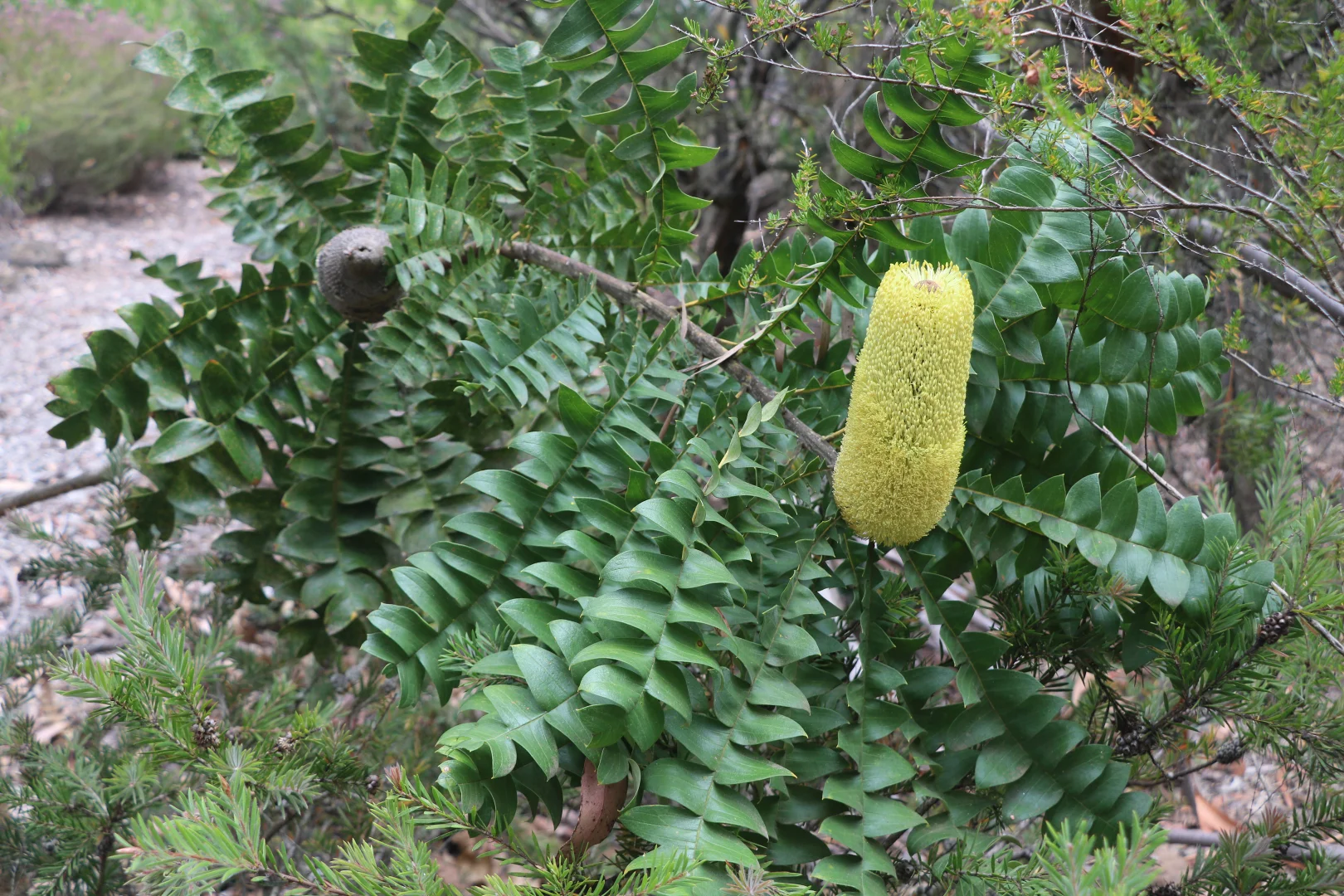 Additional image 25 of 65 Gardiners Road, Barongarook VIC 3249