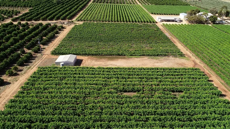 Additional image 3 of Lot 514 Vasey Road, Waikerie SA 5330