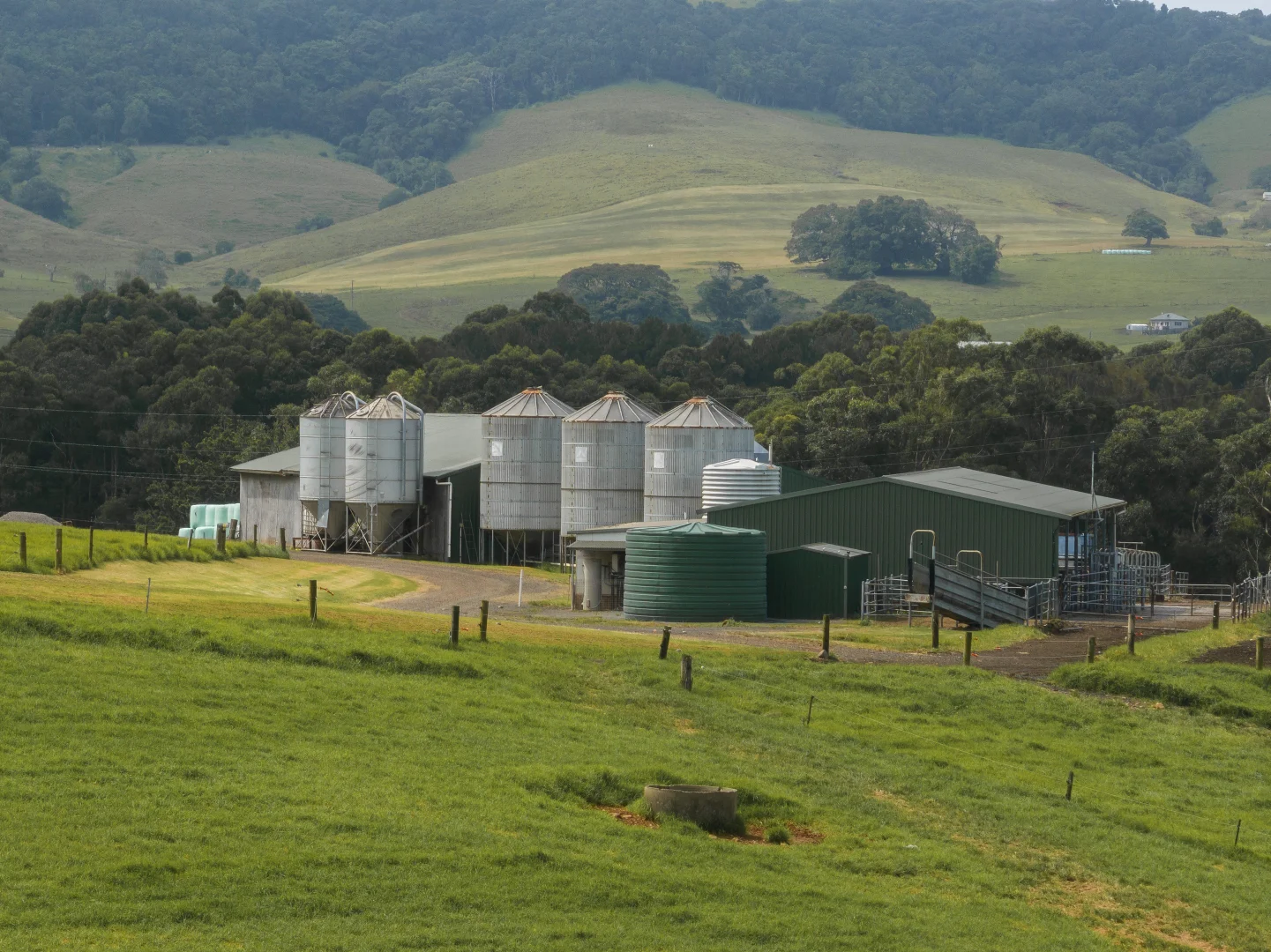 Additional image 17 of Lot 3002 - Alne Bank Rose Valley Road, Rose Valley NSW 2534
