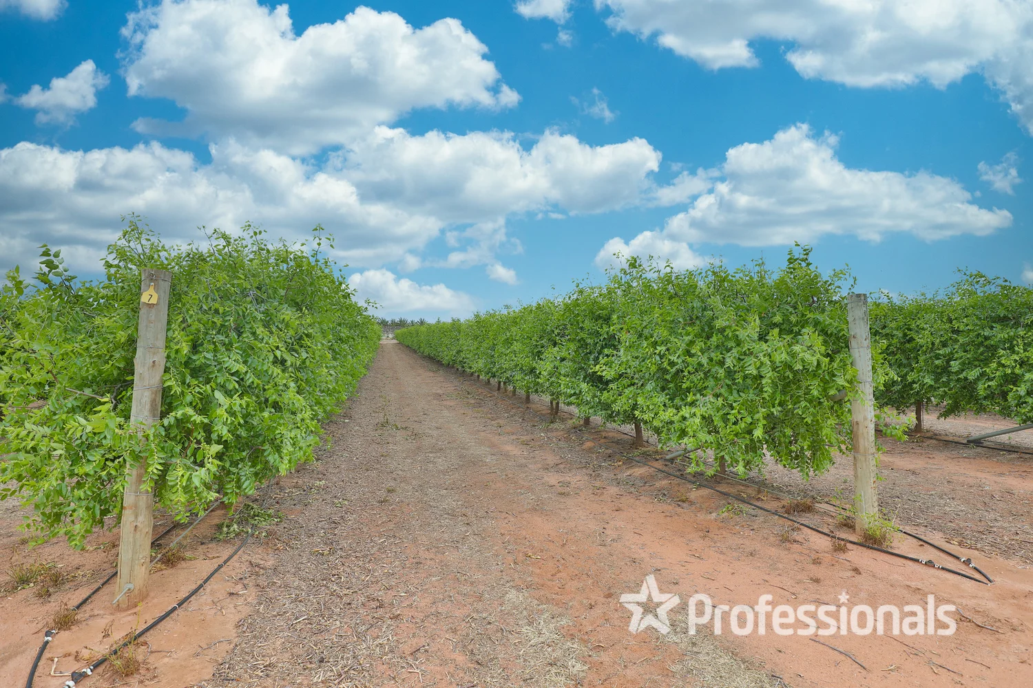 Additional image 3 of 386 Westcliffs Avenue, Cardross VIC 3496